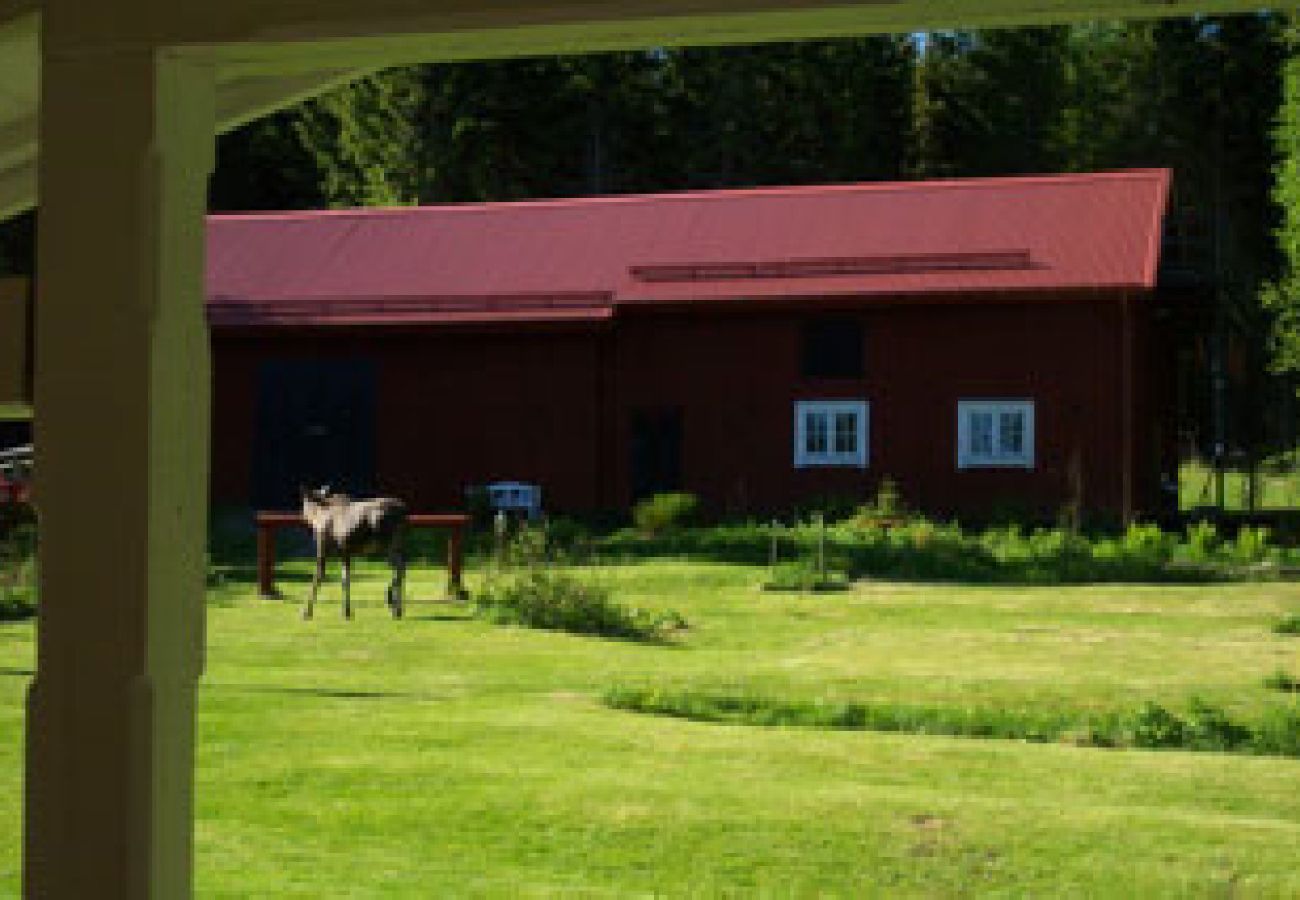 Stuga i Hagfors - Semester mitt i Värmlands skogar i avskilt läge