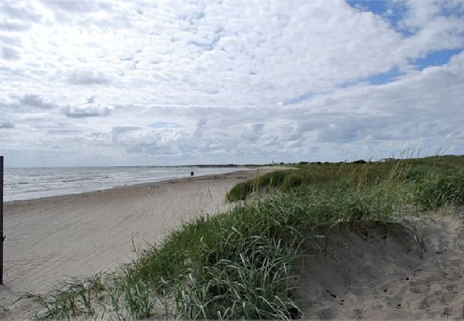 Stuga i Falkenberg - Olofsbo 200 meter från sandstranden