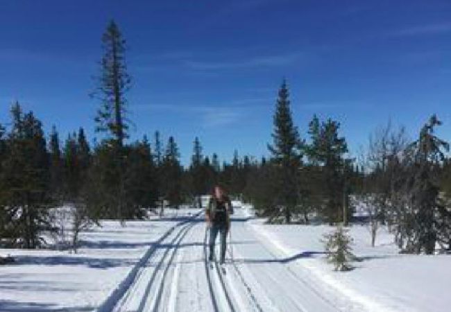 Stuga i Hoting - Stuga på sjötomt vid Tåsjön Stuga i Hoting - Stuga på sjötomt vid Tåsjön
