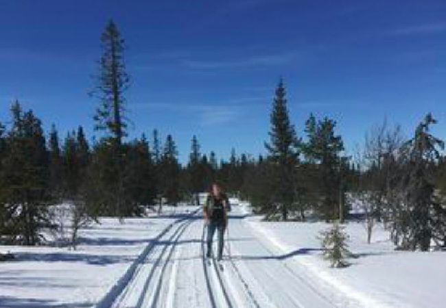 Stuga i Hoting - Stuga på sjötomt vid Tåsjön