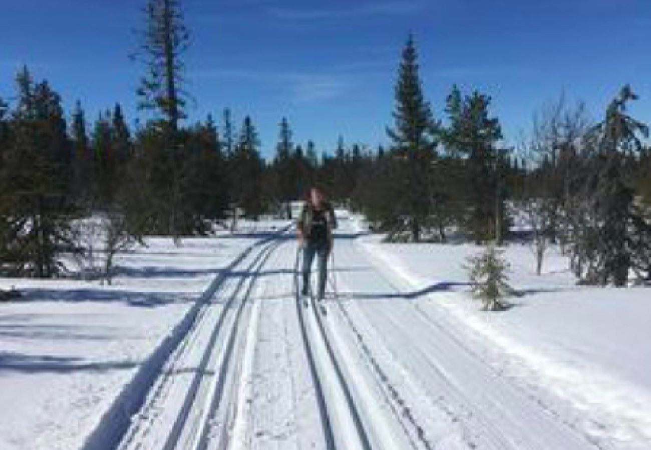 Stuga i Hoting - Stuga på sjötomt vid Tåsjön
