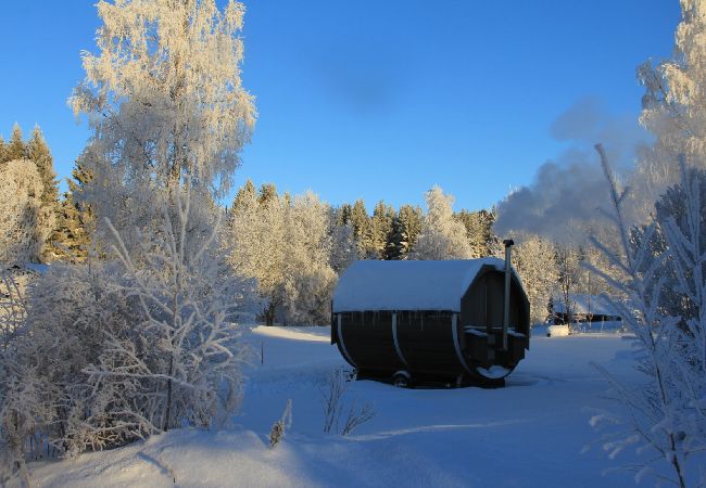 Stuga i Dorotea - Sjöläge Lappland Stuga i Dorotea - Sjöläge Lappland