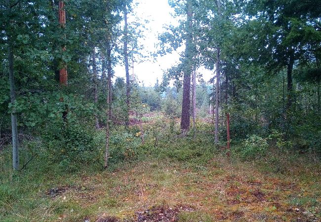 Stuga i Berga - Ensam stuga med eget badställe Stuga i Berga - Ensam stuga med eget badställe