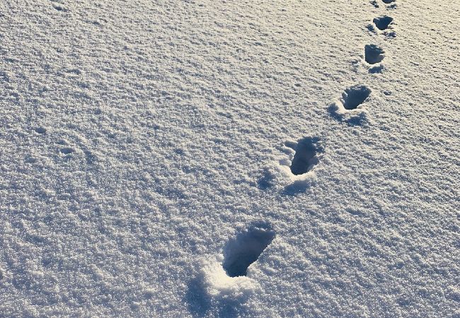 Stuga i Nattavaaraby - I vildmarken nära sjö och vacker natur (utan el, vatten, badrum) Stuga i Nattavaaraby - I vildmarken nära sjö och vacker natur (utan el, vatten, badrum)