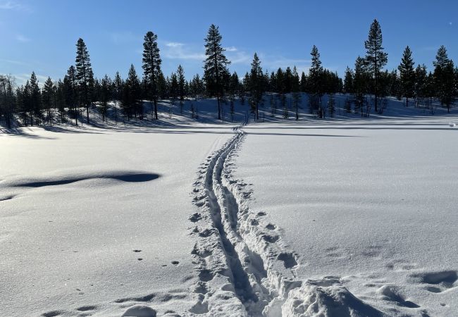 Stuga i Nattavaaraby - I vildmarken nära sjö och vacker natur (utan el, vatten, badrum)