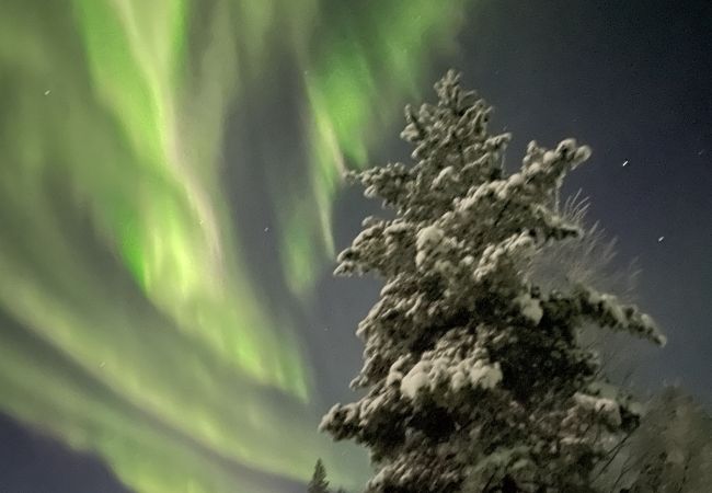 Stuga i Nattavaaraby - I vildmarken nära sjö och vacker natur (utan el, vatten, badrum)