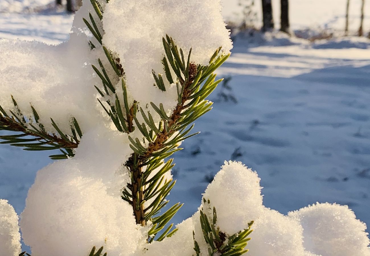 Stuga i Nattavaaraby - I vildmarken nära sjö och vacker natur (utan el, vatten, badrum)