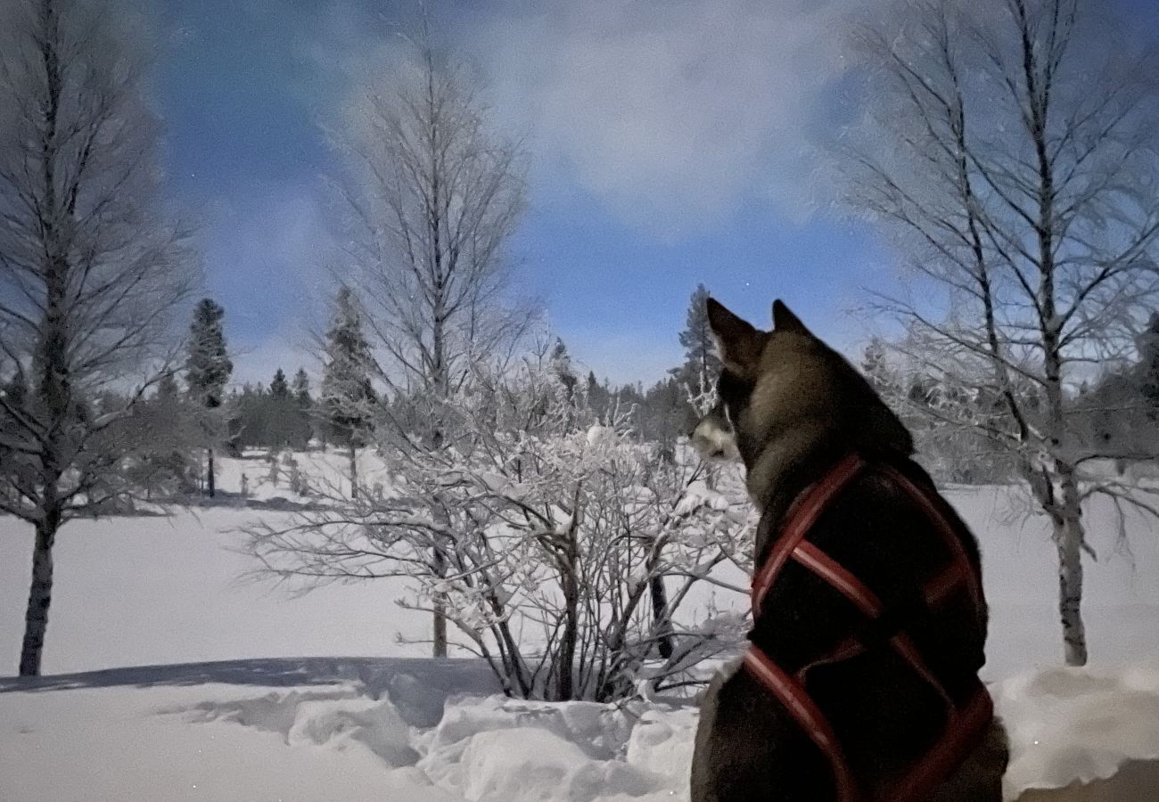 Stuga i Nattavaaraby - I vildmarken nära sjö och vacker natur (utan el, vatten, badrum)