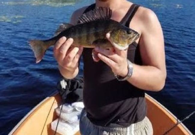 Stuga i Björklinge - Fin stuga med sjöläge i Björklinge Stuga i Björklinge - Fin stuga med sjöläge i Björklinge