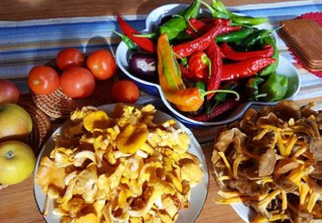 Stuga i Björklinge - Fin stuga med sjöläge i Björklinge Stuga i Björklinge - Fin stuga med sjöläge i Björklinge