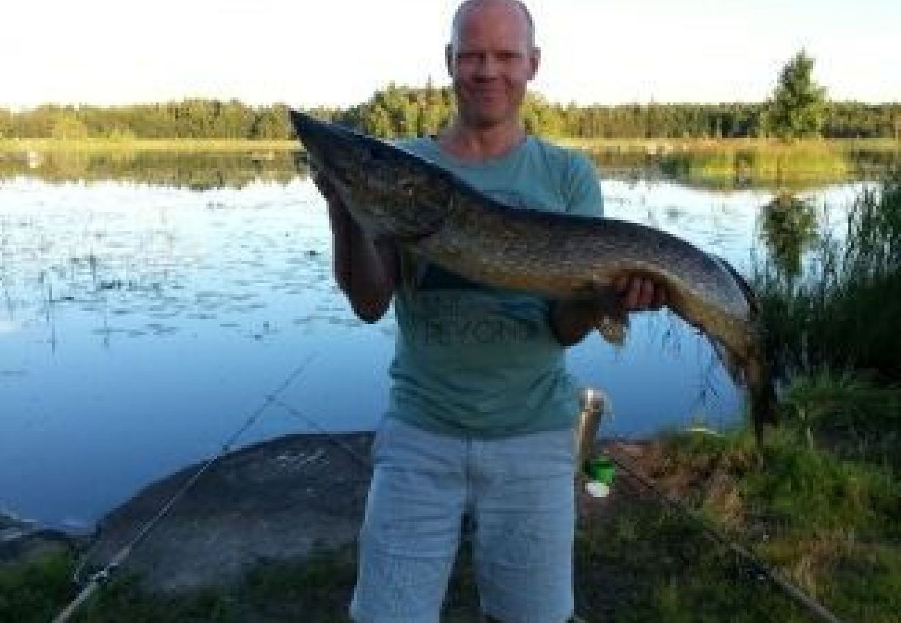 Stuga i Björklinge - Fin stuga med sjöläge i Björklinge