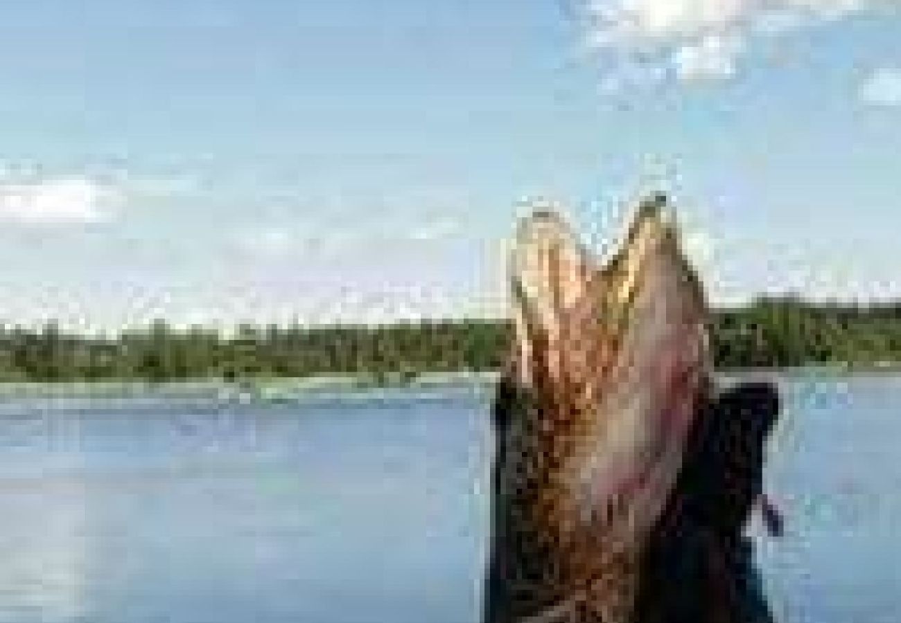 Stuga i Björklinge - Fin stuga med sjöläge i Björklinge