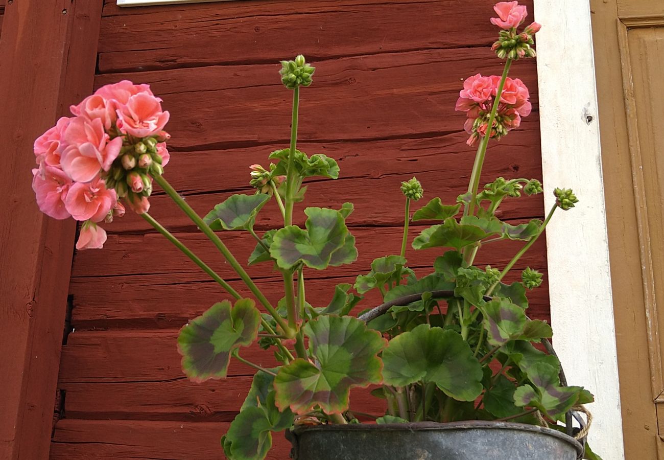 Stuga i Överkalix - mysig stuga vid sjön nära Överkalix