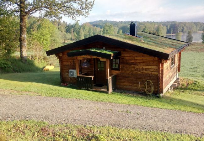 Stuga i Karl Gustav - Vikingastuga med sjöutsikt och fina fiskemöjligheter Stuga i Karl Gustav - Vikingastuga med sjöutsikt och fina fiskemöjligheter