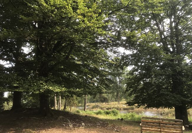 Stuga i Tyringe - Rollerbü viltpark Stuga i Tyringe - Rollerbü viltpark