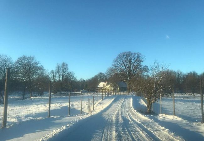 Stuga i Tyringe - Rollerbü viltpark Stuga i Tyringe - Rollerbü viltpark