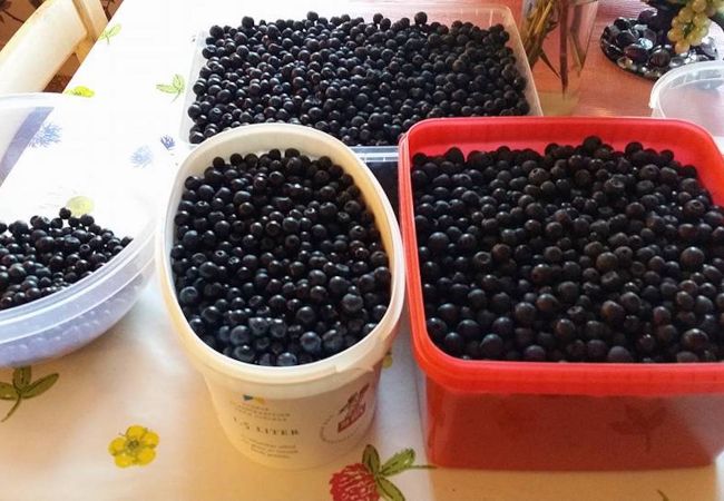 Stuga i Pauliström - Fritidshus nära naturen på småländska höglandet Stuga i Pauliström - Fritidshus nära naturen på småländska höglandet