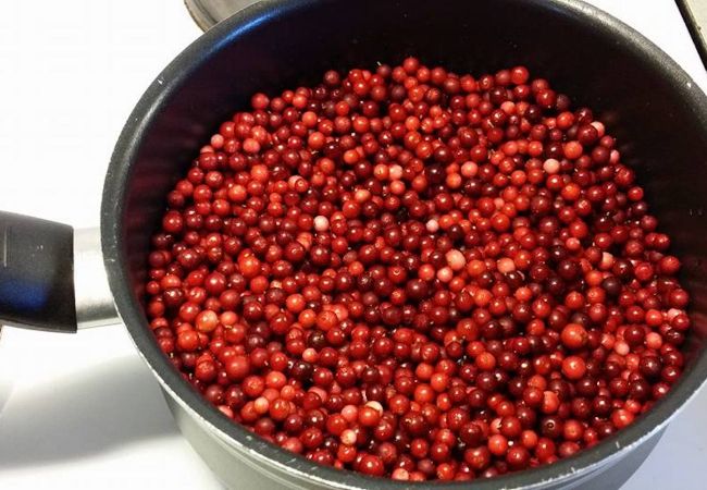 Stuga i Pauliström - Fritidshus nära naturen på småländska höglandet Stuga i Pauliström - Fritidshus nära naturen på småländska höglandet