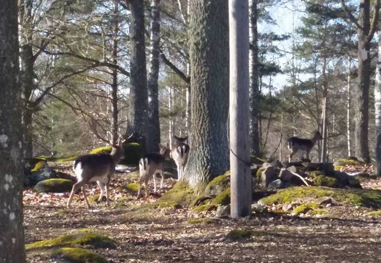 Stuga i Pauliström - Fritidshus nära naturen på småländska höglandet