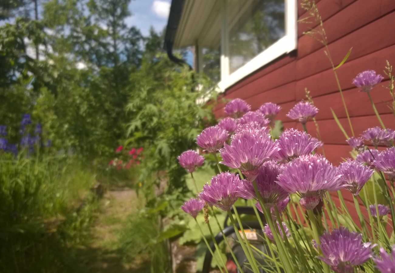 Stuga i Hallaryd - Semester nära sjön med wifi och egen båt