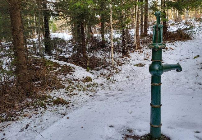 Stuga i Skruv - Vitahult Stuga i Skruv - Vitahult