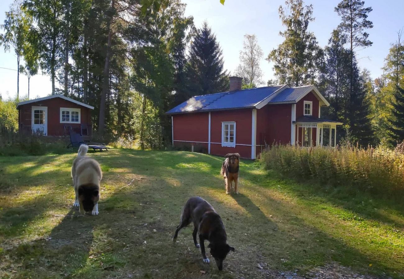 Stuga i Nora - Avskilt läge, tillbaka till naturen
