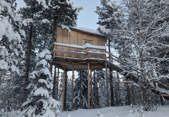 Stuga i Arvidsjaur - Högt i träden i norra Sverige med sjöutsikt och älgar under altanen