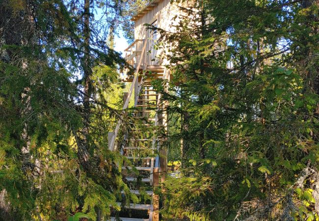 Stuga i Arvidsjaur - Högt i träden i norra Sverige med sjöutsikt och älgar under altanen