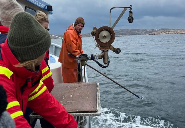 Stuga i Hunnebostrand - Exklusivt boende på västkusten nära Hunnebostrand Stuga i Hunnebostrand - Exklusivt boende på västkusten nära Hunnebostrand