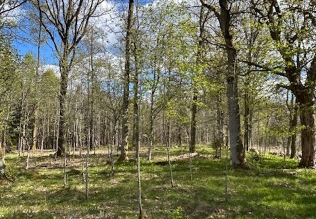 Stuga i Annerstad - Mysigt, renoverat fritidshus nära sjöarna Kösen och Bolmen i Småland Stuga i Annerstad - Mysigt, renoverat fritidshus nära sjöarna Kösen och Bolmen i Småland