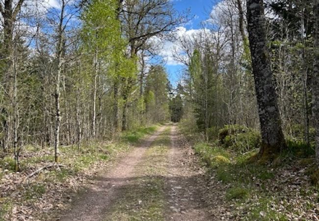 Stuga i Annerstad - Mysigt, renoverat fritidshus nära sjöarna Kösen och Bolmen i Småland Stuga i Annerstad - Mysigt, renoverat fritidshus nära sjöarna Kösen och Bolmen i Småland