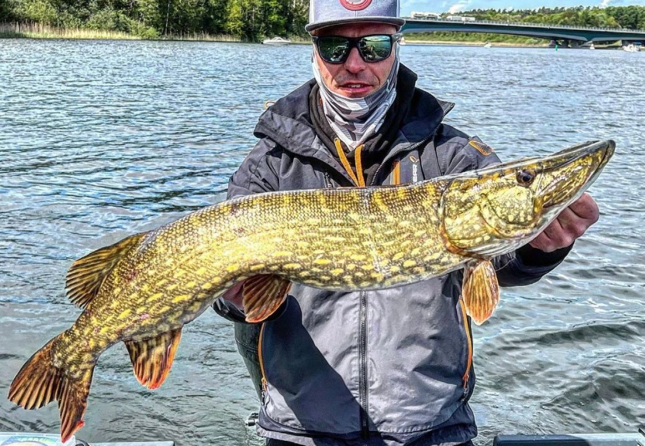 Lägenhet i Drottningskär - Takvåning med havsutsikt i skärgården på Aspö med egen ingång