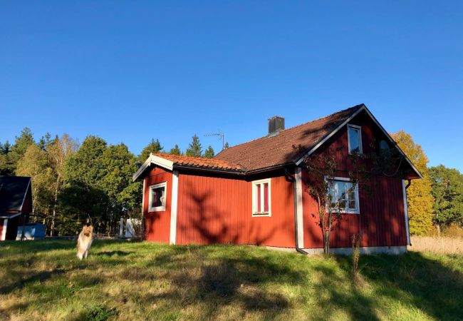 Stuga i Bergkvara - Semester utan grannar i en glänta nära Östersjön