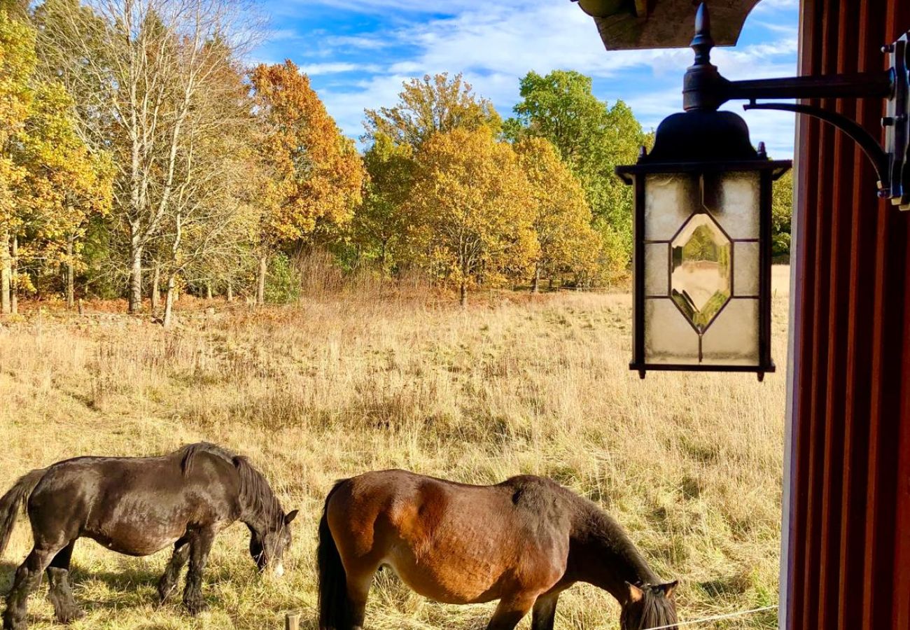 Stuga i Bergkvara - Semester utan grannar i en glänta nära Östersjön