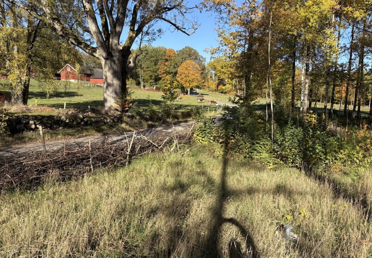 Stuga i Osby - Björkesö – ett semesterhus vid sjön, mitt i naturen